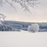 Több hullámban érkezik havazás január elején, helyenként mínusz 19 fok is lehet