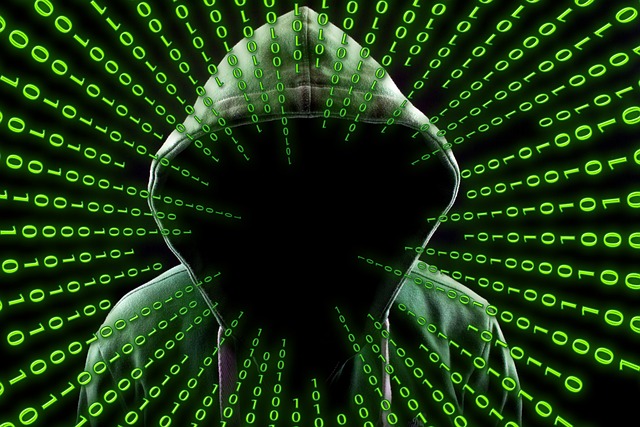 hacker, online csaló,