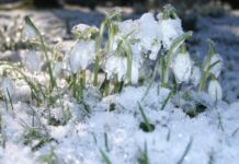 Február első hétében folytatódik a felmelegedés