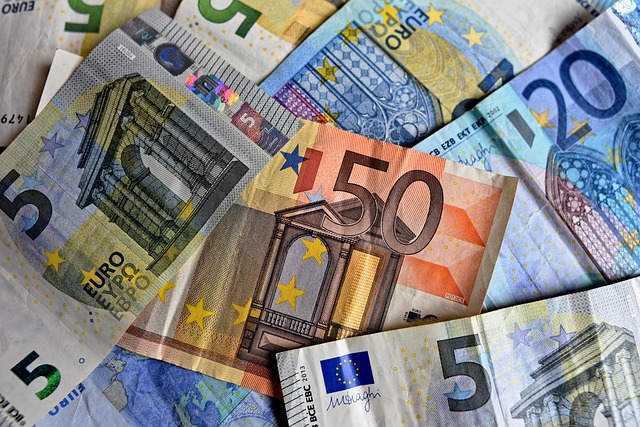 pénz, euró