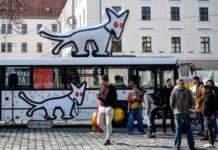 Vármegyetáblákkal törlesztené tartozását a Kutyapárt