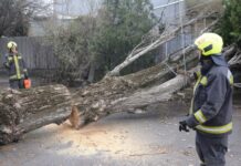 Fákat döntött ki, ágakat szakított le az erős szél, vasárnap lehűlés érkezik