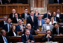 Fidesz: Magyar Péter politikai utasításokat ad a nyomozó hatóságoknak