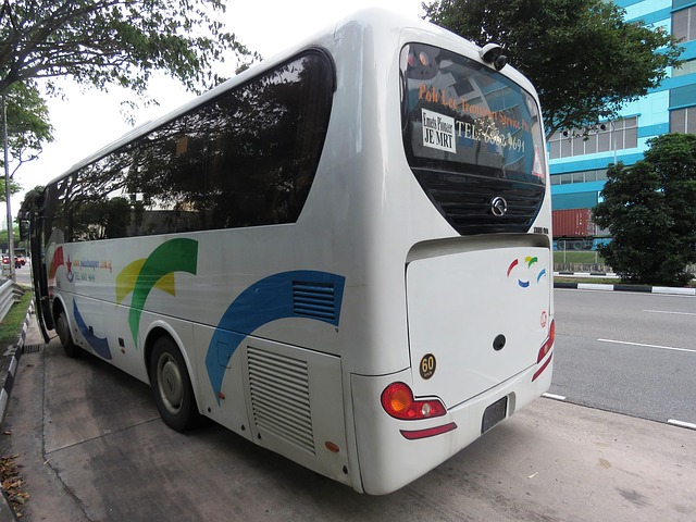 busz,