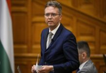 Fideszes polgármester fia beszélt a vitatott NKA-pénzek pályázati rendszeréről