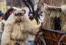 Mohács 500 – Számos beruházás készül el az évfordulóig