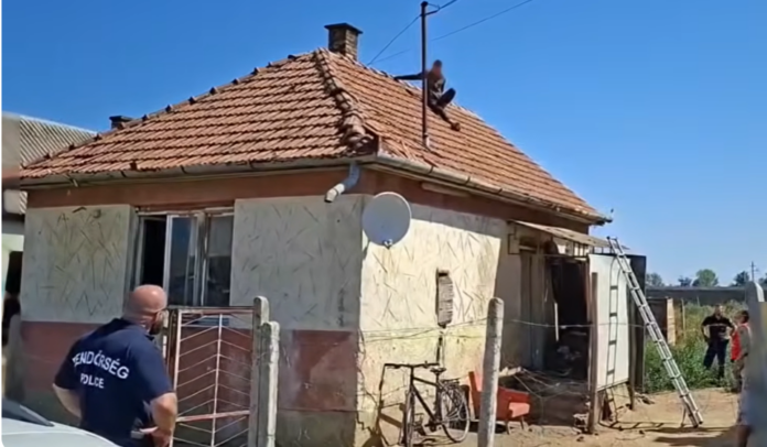 teto_rendor