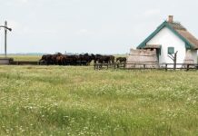 Eloltották a tüzet a Hortobágyi Nemzeti Parkban