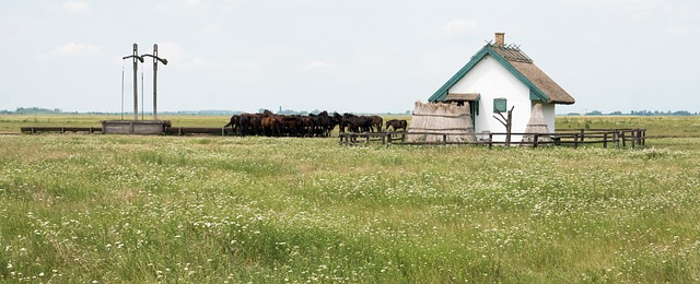 Hortobágyi Nemzeti Park